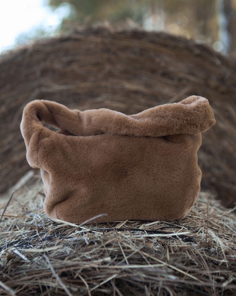 Cartera San Martin de los Andes